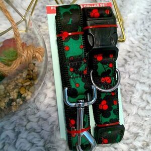 Holiday Mistletoe Collar and Leash For M to L Size Dogs